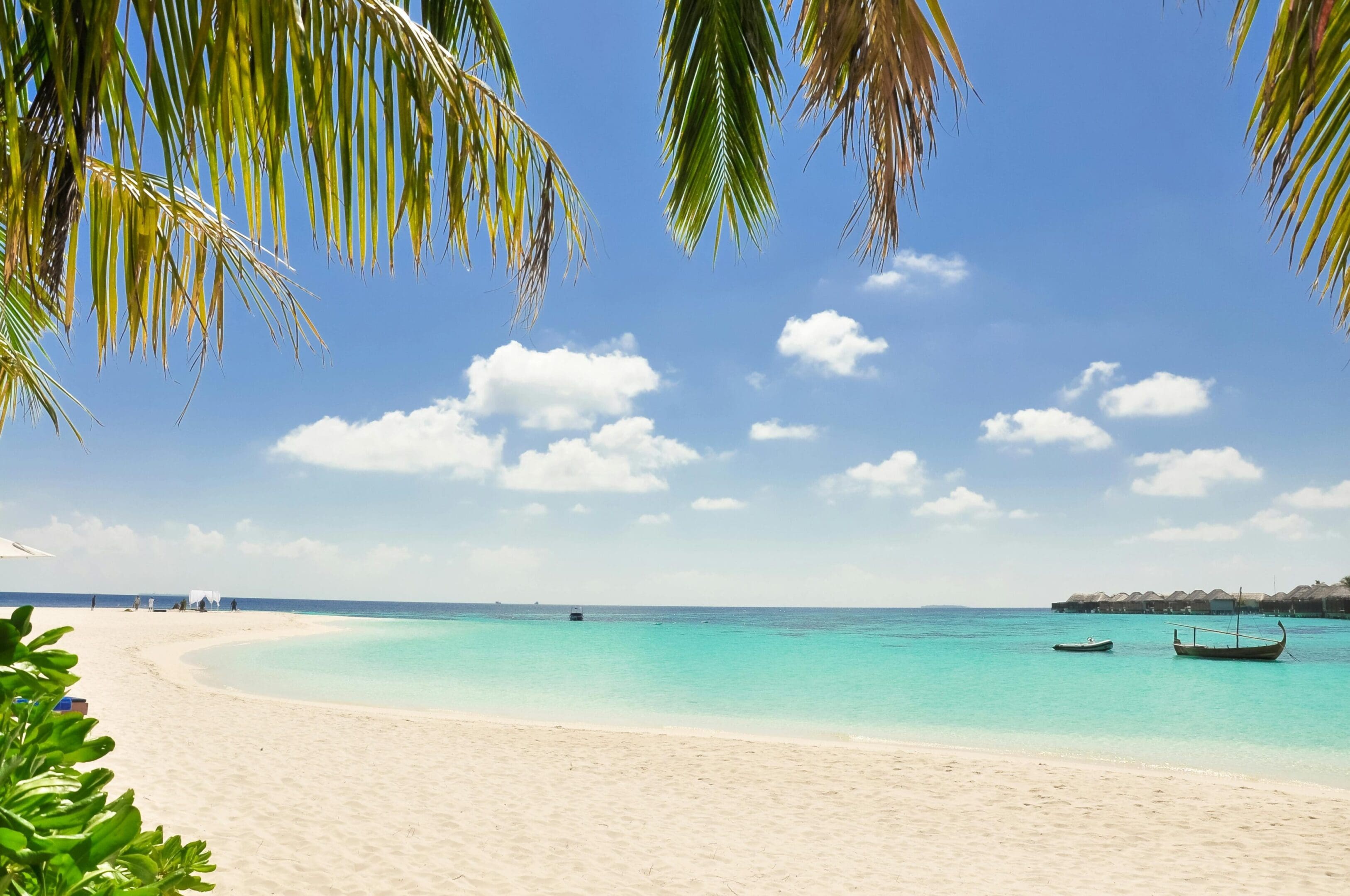 A beach with palm trees and boats in the water.